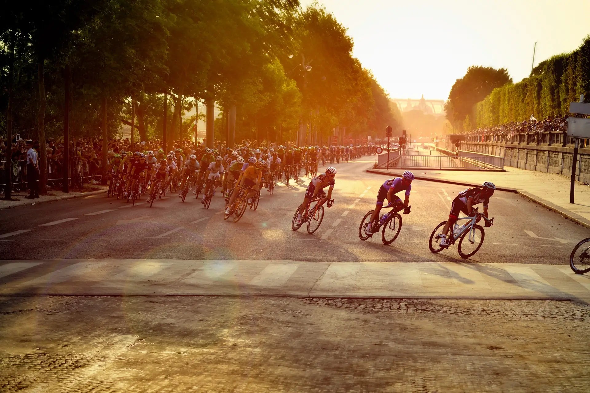 PRO CYCLIST FOUNDATION